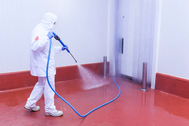 Best Fleet Vehicle Washing  in Gibbsboro, NJ